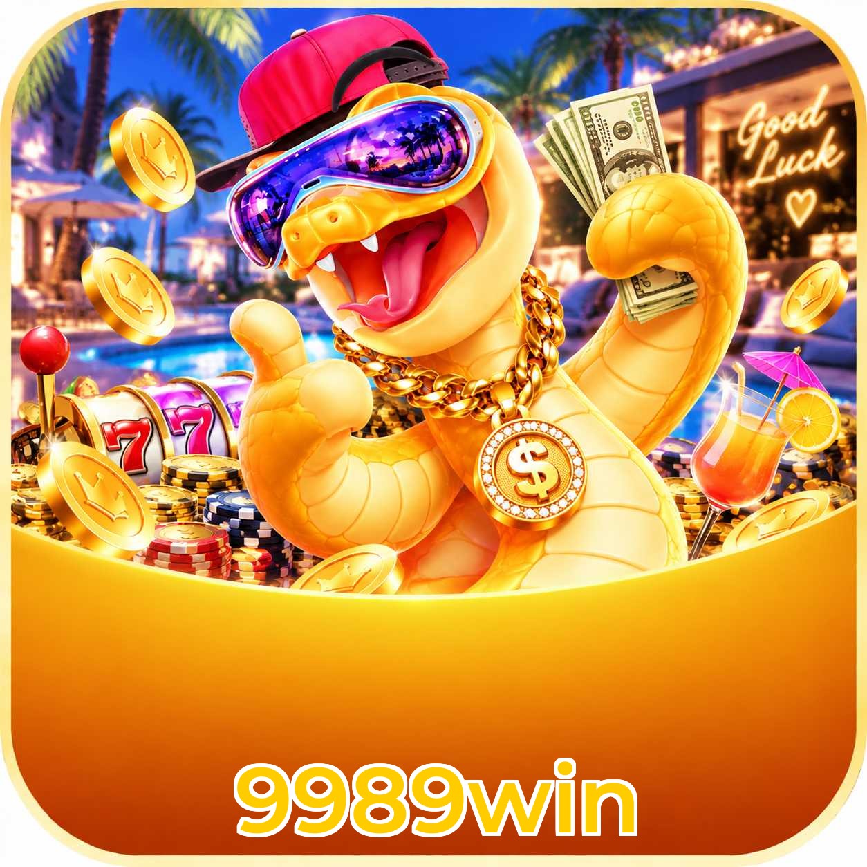 9989win Compatibilidade